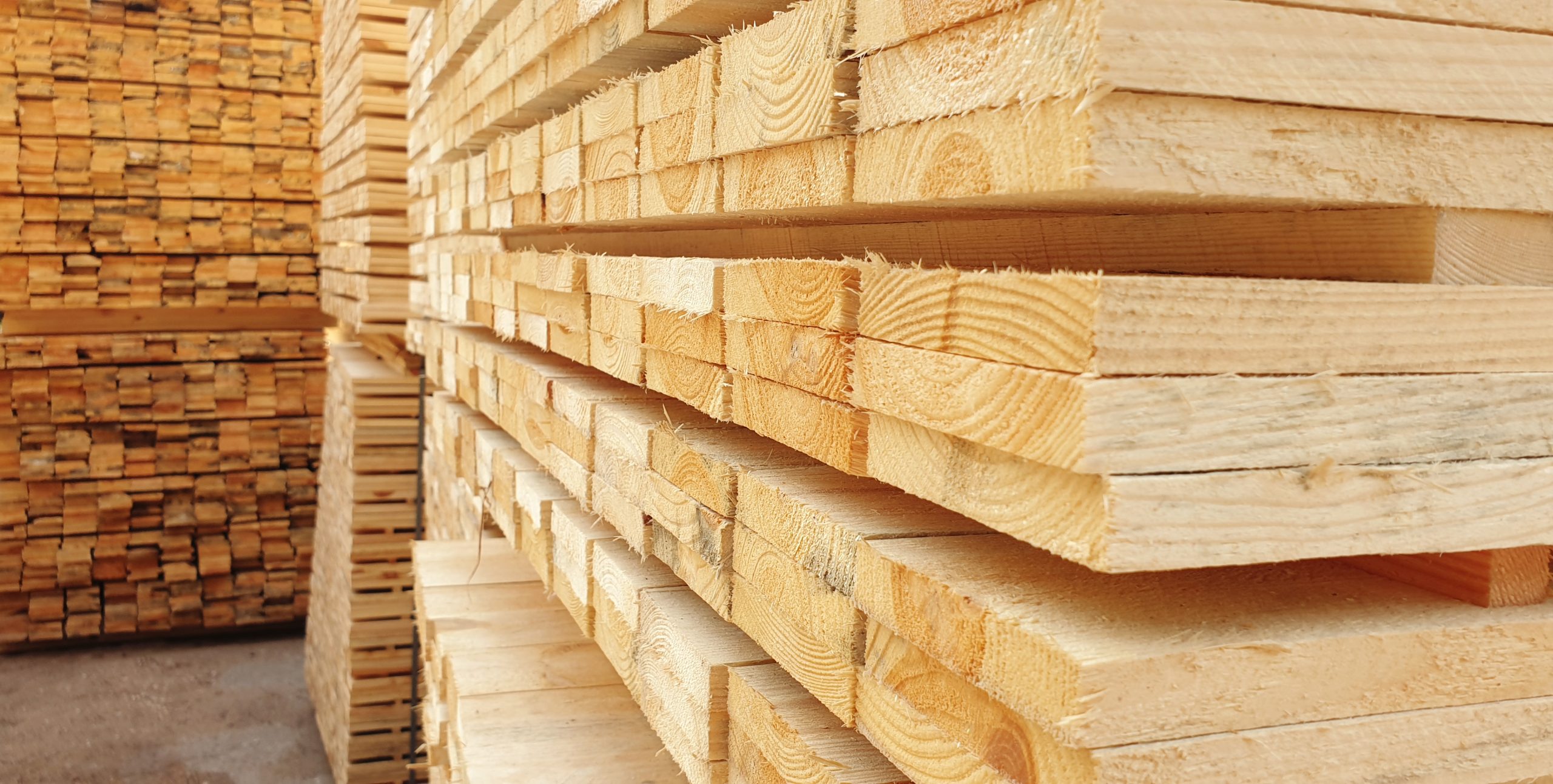 Raw,Wood,Drying,In,The,Lumber,Warehouse